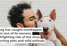 A dog has caught monkeypox from one of its owners, highlighting risk of the virus infecting pets and wild animals