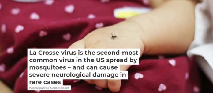 People catch La Crosse disease primarily from the bite of the eastern tree-hole mosquito – although two other species may also carry the virus. Nipol Plobmuang/EyeEm via Getty Images