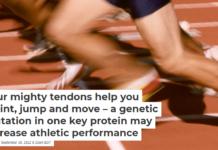 Your mighty tendons help you sprint, jump and move – a genetic mutation in one key protein may increase athletic performance