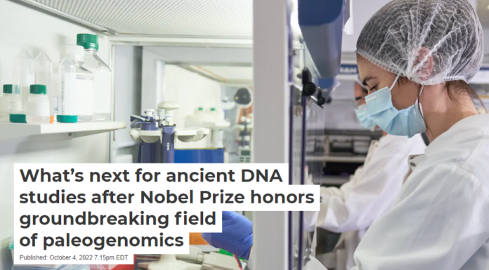 What’s next for ancient DNA studies after Nobel Prize honors groundbreaking field of paleogenomics