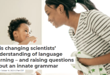 AI is changing scientists’ understanding of language learning – and raising questions about an innate grammar