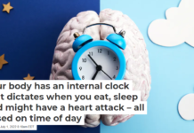 Your body has an internal clock that dictates when you eat, sleep and might have a heart attack – all based on time of day