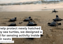 To help protect newly hatched baby sea turtles, we designed a tool for sensing activity inside their nests