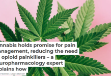 Cannabis holds promise for pain management, reducing the need for opioid painkillers – a neuropharmacology expert explains how