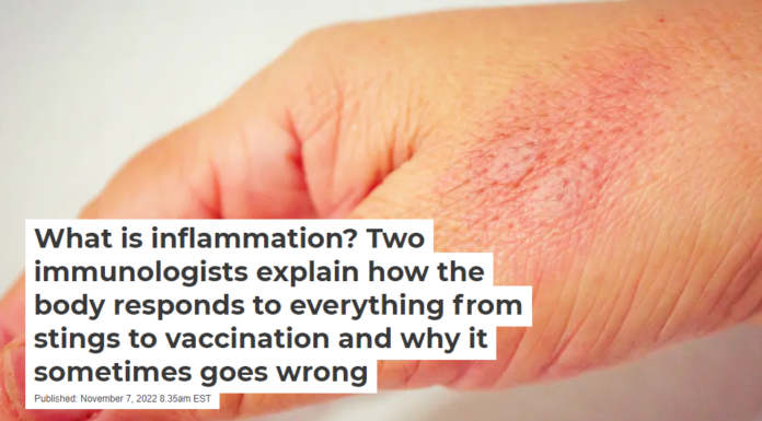 What is inflammation? Two immunologists explain how the body responds to everything from stings to vaccination and why it sometimes goes wrong