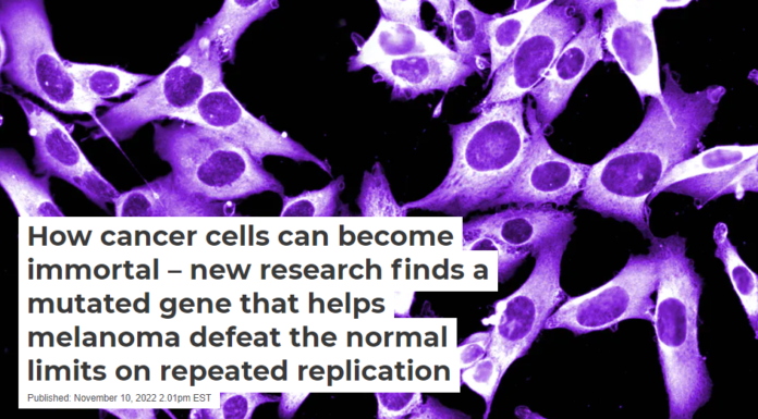 How cancer cells can become immortal – new research finds a mutated gene that helps melanoma defeat the normal limits on repeated replication