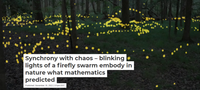 Fireflies’ synchronized light shows have fascinated observers for ages. Raphael Sarfati, CC BY-ND