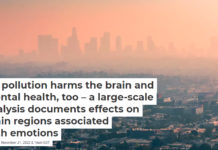 Air pollution harms the brain and mental health, too – a large-scale analysis documents effects on brain regions associated with emotions