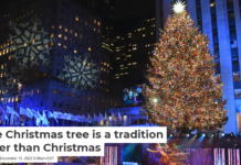 The Christmas tree is a tradition older than Christmas
