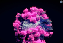 Visualizing the inside of cells at previously impossible resolutions provides vivid insights into how they work