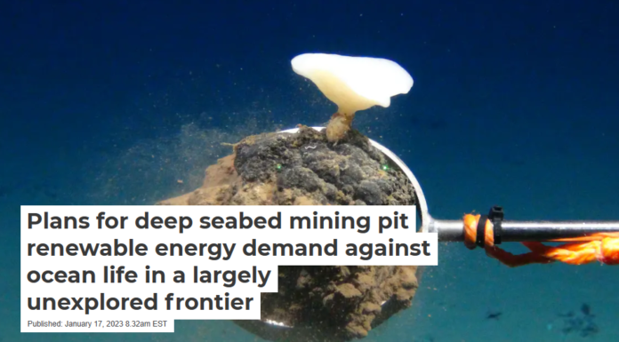 Plans for deep seabed mining pit renewable energy demand against ocean life in a largely unexplored frontier
