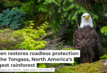 Biden restores roadless protection to the Tongass, North America’s largest rainforest