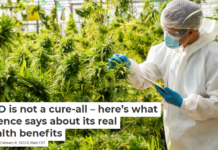 CBD is not a cure-all – here’s what science says about its real health benefits
