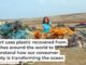 My art uses plastic recovered from beaches around the world to understand how our consumer society is transforming the ocean