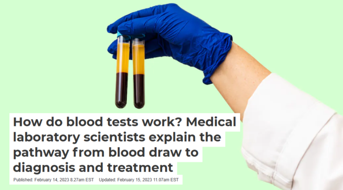 How do blood tests work? Medical laboratory scientists explain the pathway from blood draw to diagnosis and treatment