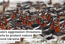 Russia’s aggression threatens efforts to protect nature beyond Ukraine