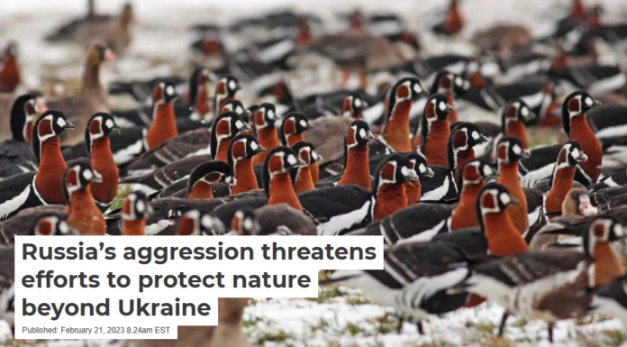 Russia’s aggression threatens efforts to protect nature beyond Ukraine