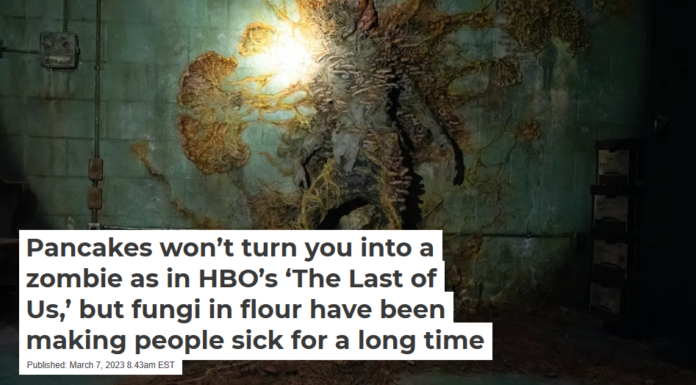 Pancakes won’t turn you into a zombie as in HBO’s ‘The Last of Us,’ but fungi in flour have been making people sick for a long time