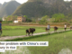 Another problem with China’s coal: Mercury in rice