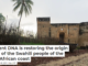 Ancient DNA is restoring the origin story of the Swahili people of the East African coast