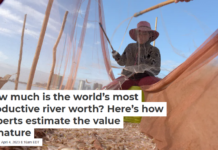 How much is the world’s most productive river worth? Here’s how experts estimate the value of nature
