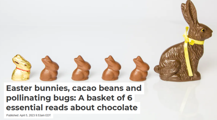 Easter bunnies, cacao beans and pollinating bugs: A basket of 6 essential reads about chocolate