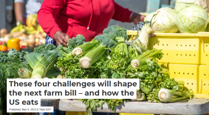 These four challenges will shape the next farm bill – and how the US eats