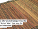 Sunzi, ‘shì’ and strategy: How to read ‘Art of War’ the way its author intended
