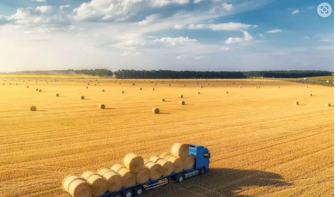 Price inflation: five ways stronger UK supply chains can help reduce rising food costs