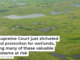The Supreme Court just shriveled federal protection for wetlands, leaving many of these valuable ecosystems at risk