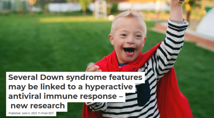Several Down syndrome features may be linked to a hyperactive antiviral immune response – new research