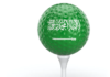 Big money bought the PGA Tour, but can it make golf a popular sport in Saudi Arabia?