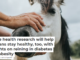 Horse health research will help humans stay healthy, too, with insights on reining in diabetes and obesity