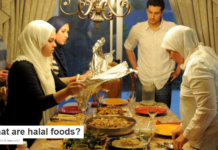 What are halal foods?
