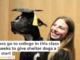 Canines go to college in this class that seeks to give shelter dogs a fresh start