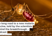 The long road to a new malaria vaccine, told by the scientists behind the breakthrough –podcast