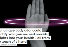 Your unique body odor could identify who you are and provide insights into your health – all from the touch of a hand