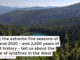 What the extreme fire seasons of 1910 and 2020 – and 2,500 years of forest history – tell us about the future of wildfires in the West