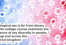 Biological sex is far from binary − this college course examines the science of sex diversity in people, fungi and across the animal kingdom