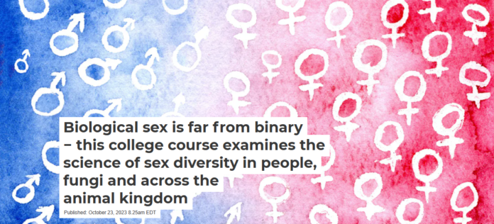 Biological sex comes in many more forms than just male or female. Yifei Fang/Moment via Getty Images