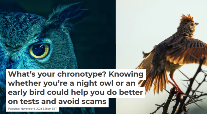 What’s your chronotype? Knowing whether you’re a night owl or an early bird could help you do better on tests and avoid scams