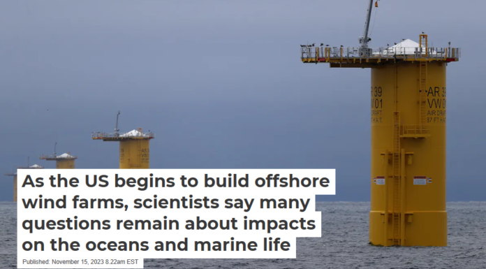 As the US begins to build offshore wind farms, scientists say many questions remain about impacts on the oceans and marine life