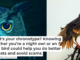 What’s your chronotype? Knowing whether you’re a night owl or an early bird could help you do better on tests and avoid scams