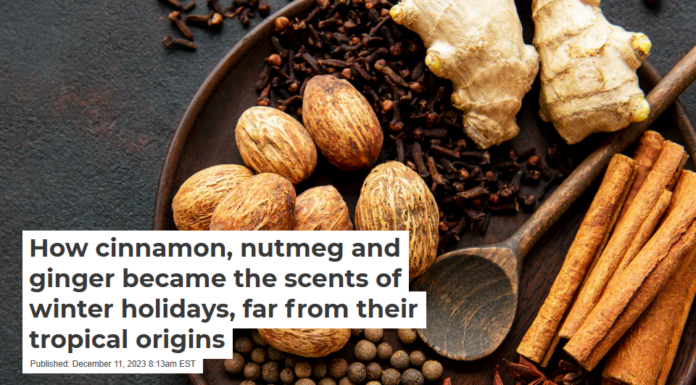How cinnamon, nutmeg and ginger became the scents of winter holidays, far from their tropical origins