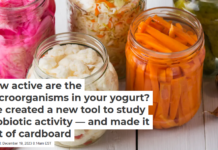 How active are the microorganisms in your yogurt? We created a new tool to study probiotic activity — and made it out of cardboard