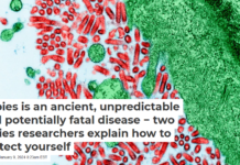 Rabies is an ancient, unpredictable and potentially fatal disease − two rabies researchers explain how to protect yourself