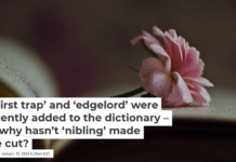 ‘Thirst trap’ and ‘edgelord’ were recently added to the dictionary – so why hasn’t ‘nibling’ made the cut?