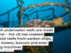 Not all underwater reefs are made of coral − the US has created artificial reefs from sunken ships, radio towers, boxcars and even voting machines