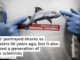 ‘Jaws’ portrayed sharks as monsters 50 years ago, but it also inspired a generation of shark scientists