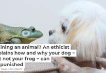 Training an animal? An ethicist explains how and why your dog − but not your frog − can be punished
